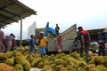 Fresh colourful tropical jackfruit on display in Sylhet Bangladesh 8 jun 2022.