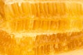 Fresh comb honey background texture Royalty Free Stock Photo