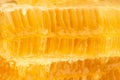 Fresh comb honey background texture Royalty Free Stock Photo