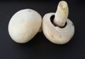Common mushrooms isolated over black. Fresh mushrooms ready for preparing.