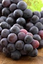 Fresh concord grapes