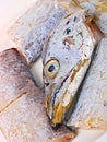Fresh Conger fish Royalty Free Stock Photo