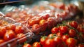 Fresh and Convenient: Cherry Tomatoes in Plastic Containers Grace the Supermarket Shelves Royalty Free Stock Photo