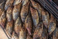 Fresh cook katsuobushi - smoked skipjack tuna