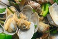 fresh cooked clams in dish