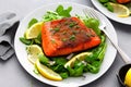 Fresh cooked delicious salmon steak with salad lemon potato