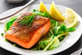 Fresh cooked delicious salmon steak with salad lemon potato