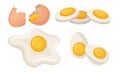 Fresh and Cooked Eggs Set, Broken Egg with Cracked Shell Vector Illustration Royalty Free Stock Photo