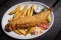 Fresh cooked fried fish fillet with salad and potatoes on a white plate. Fish and chips healthy eating Royalty Free Stock Photo