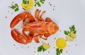 Fresh cooked lobster with lemon, parsley and black pepper on white background Royalty Free Stock Photo