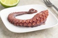 Fresh cooked octopus tentacle