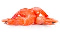 Fresh red two cooked shrimp isolated on white background. Royalty Free Stock Photo