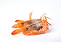 Fresh cooked shrimp isolated on white background. Seafood Royalty Free Stock Photo
