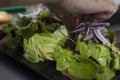 Vegan haute cuisine salad concept. Royalty Free Stock Photo