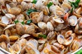 Fresh cooked vongole clams with tomatoes sauce for make of italian seafood dish spaghetti vongole Royalty Free Stock Photo