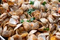 Fresh cooked vongole clams with tomatoes sauce for make of italian seafood dish spaghetti vongole Royalty Free Stock Photo