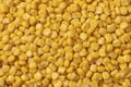 Fresh cooked yellow corn seeds close up full frame