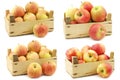 Fresh cooking applestwo on the left,fresh Maribelle apples and `honey crunch` apples in a wooden crate Royalty Free Stock Photo