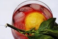 Fresh, cool glass of campari Royalty Free Stock Photo