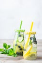 Fresh cool lemon cucumber berry infused water detox drink Royalty Free Stock Photo