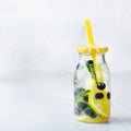 Fresh cool lemon cucumber berry infused water detox drink Royalty Free Stock Photo