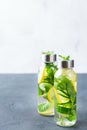 Fresh cool lemon cucumber mint infused water detox drink Royalty Free Stock Photo