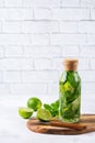 Fresh cool lemon lime mint infused water detox drink Royalty Free Stock Photo