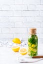 Fresh cool lemon lime mint infused water detox drink Royalty Free Stock Photo