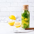 Fresh cool lemon lime mint infused water detox drink Royalty Free Stock Photo