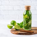 Fresh cool lemon lime mint infused water detox drink Royalty Free Stock Photo