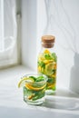 Fresh cool lemon-mint water, cocktail, detox drink Royalty Free Stock Photo