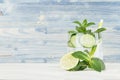 Fresh cool lemonade with mineral water, lime, cucumber, mint, ice on light blue wood plank.