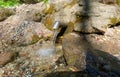 A fresh and cool spring flows from the ground. Cool and delicious spring water. Natural underground water source