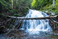 Water from stream runs among stones and runs under an log in a forest Royalty Free Stock Photo