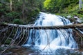 Water from stream runs among stones and runs under an log in a forest Royalty Free Stock Photo