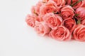 Fresh coral pink roses in full bloom on white background Royalty Free Stock Photo