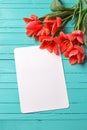 Fresh coral tulips and empty tag on teal painted wooden backg