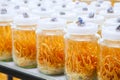 Fresh Cordyceps militaris in Glass bottles Royalty Free Stock Photo