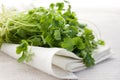 Fresh coriander