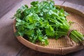 Fresh coriander, cilantro leaves on basket