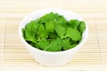 Fresh coriander or cilantro leaves in a white bowl