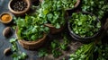 Fresh coriander