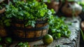 Fresh coriander