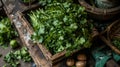 Fresh coriander