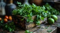 Fresh coriander