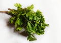 Fresh Coriander leaves in isolated background. Royalty Free Stock Photo