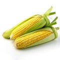 A fresh corn on a clean white background