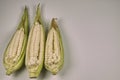 Fresh corn cob in a container on a white background Royalty Free Stock Photo