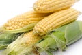 Fresh corn cob Royalty Free Stock Photo