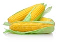 Fresh corn cob isolated on white background Royalty Free Stock Photo
